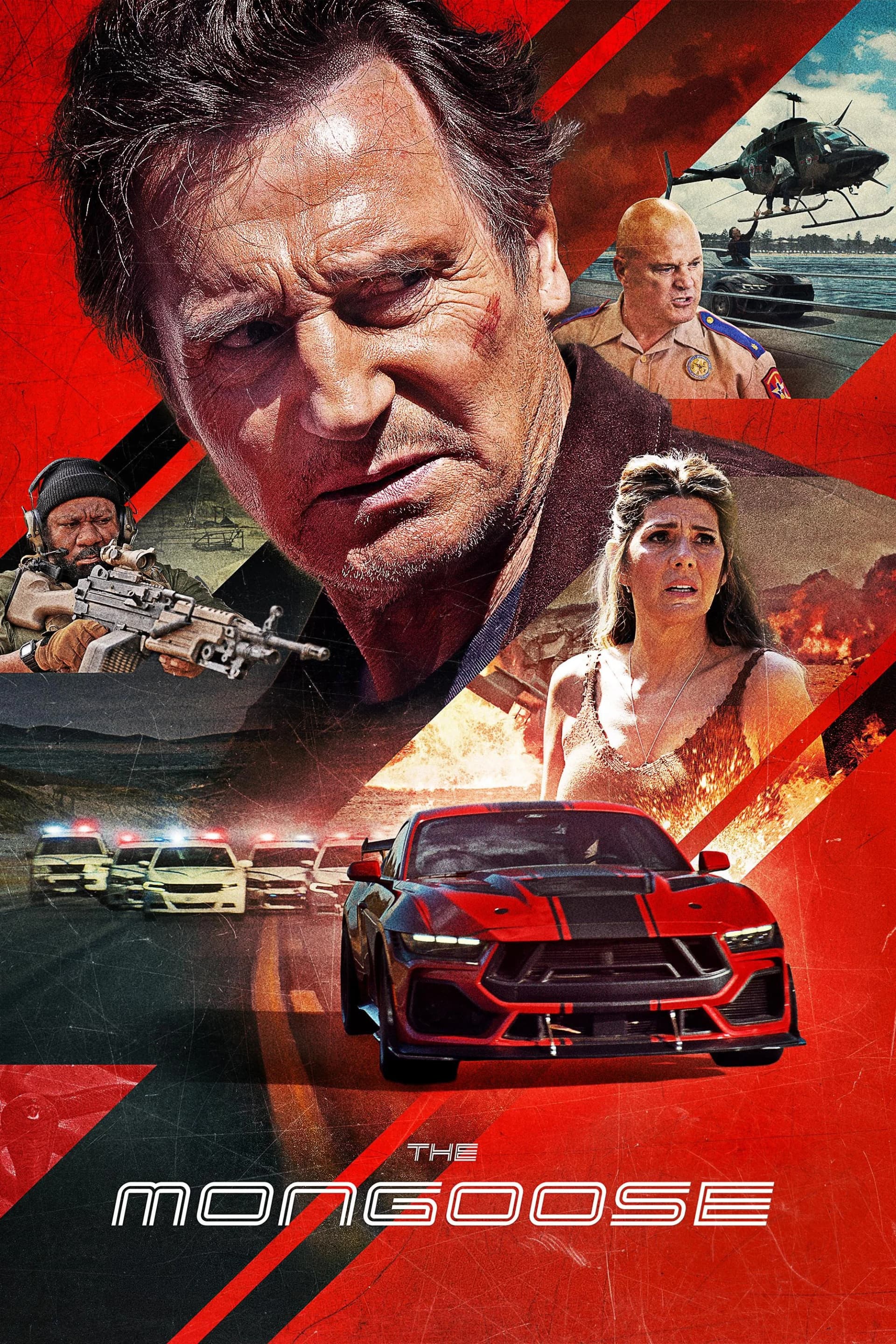 The Mongoose poster image