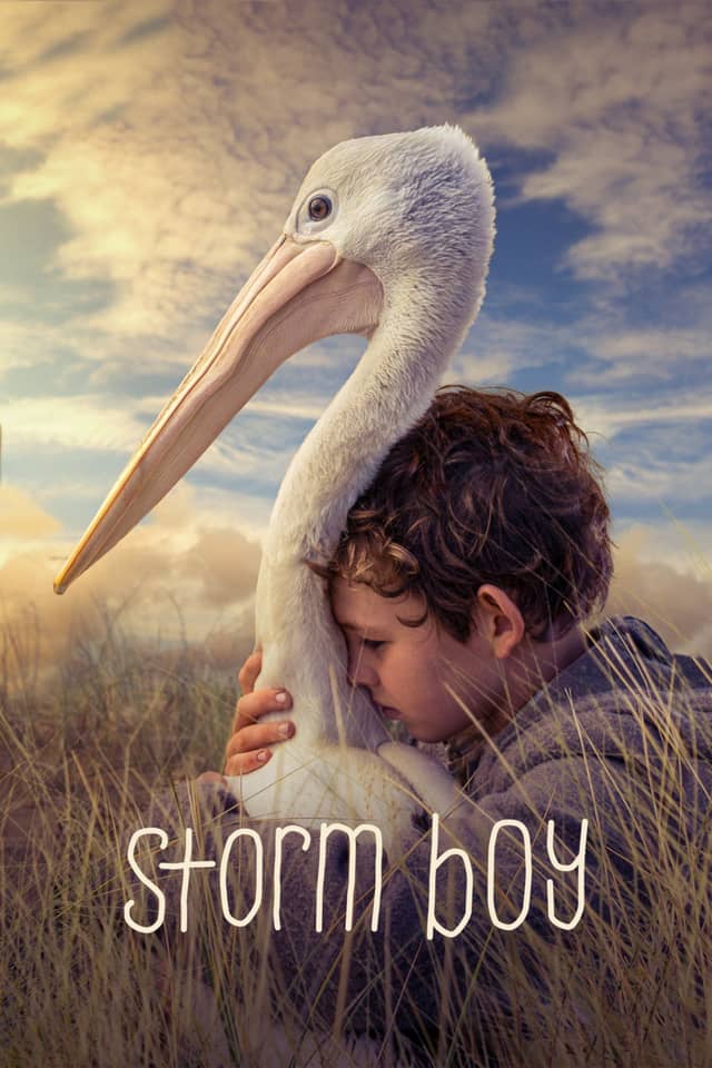 Storm Boy poster image