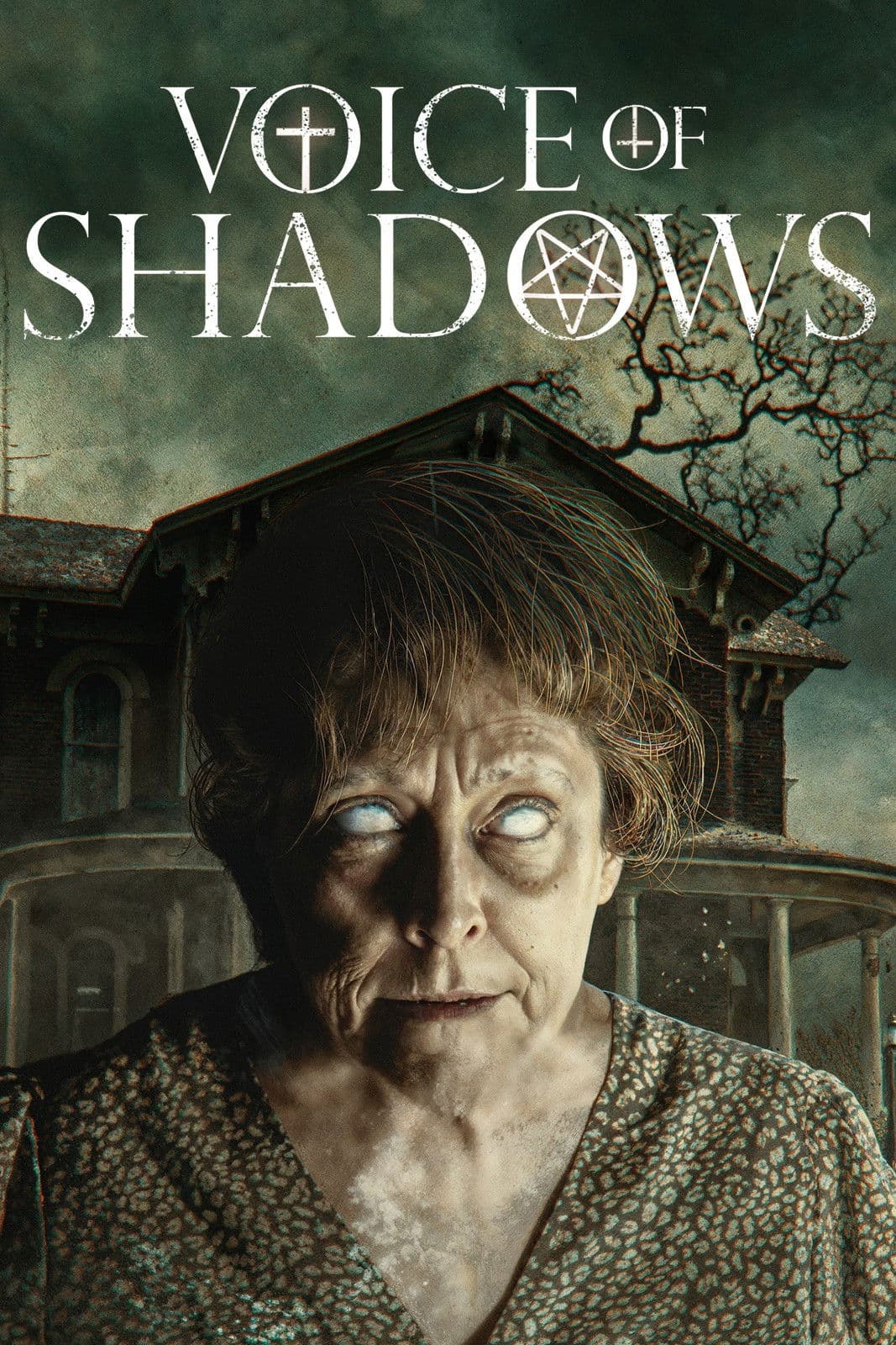 Voice of Shadows poster image