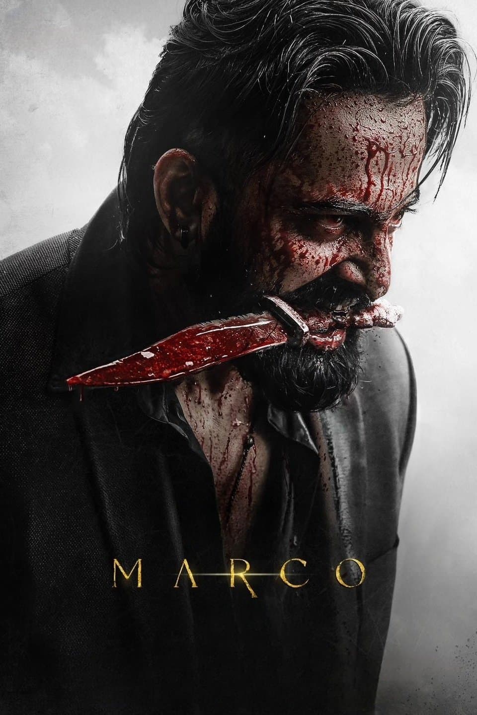 Marco poster image