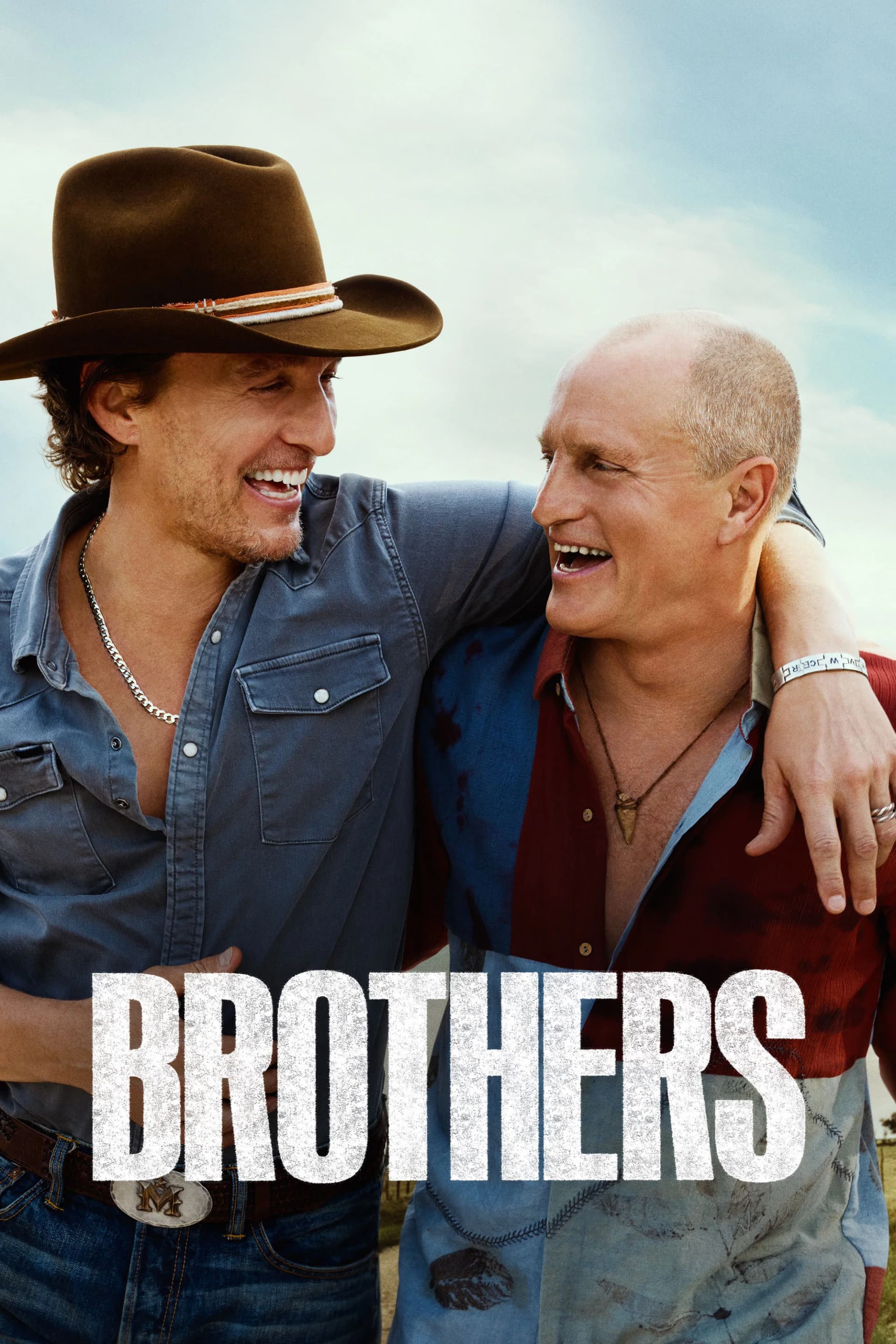 Brothers poster image