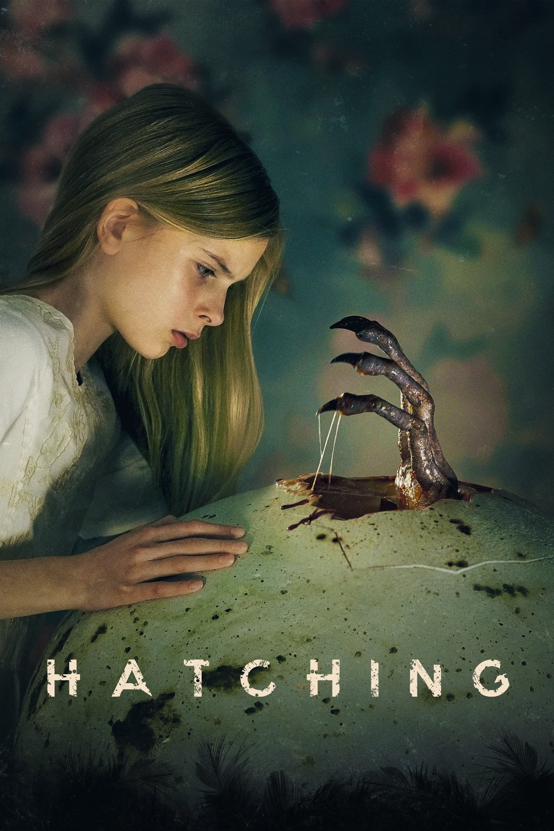 Hatching poster image