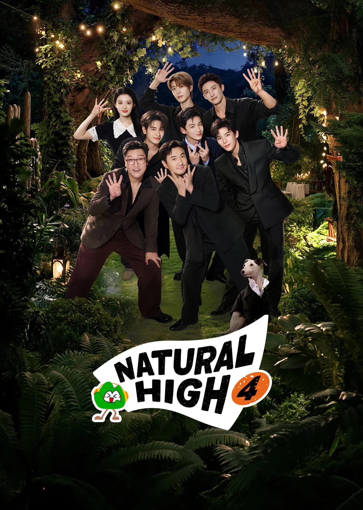 Natural High poster image