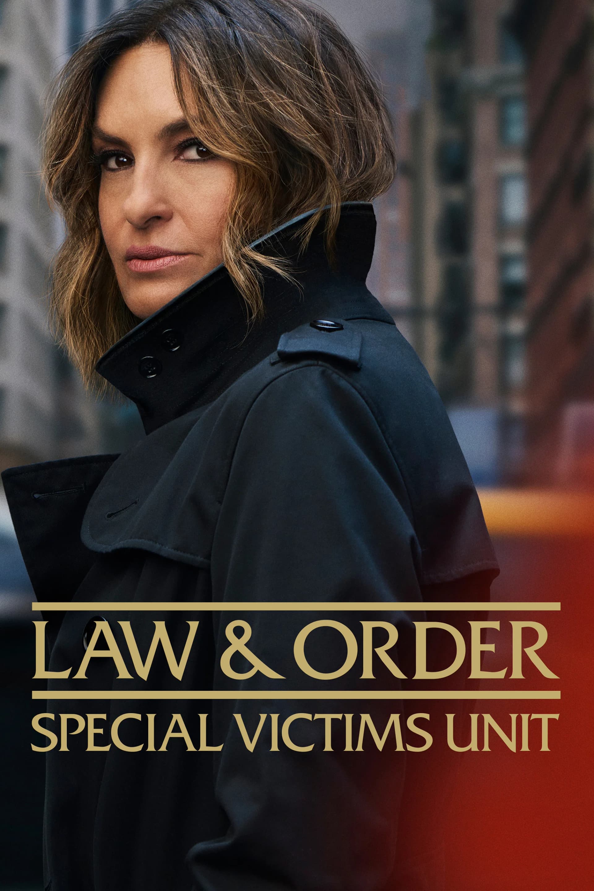 Law & Order: Special Victims Unit poster image