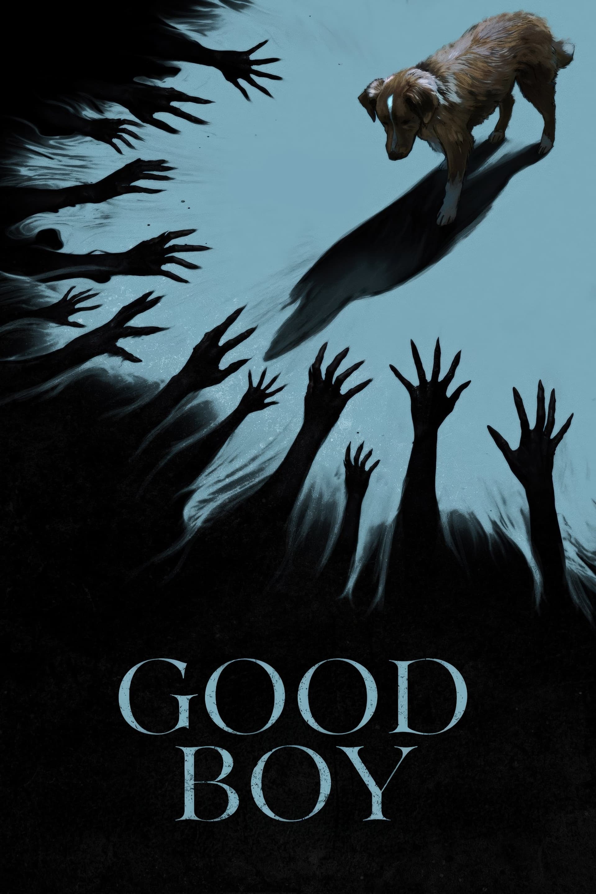 Good Boy poster image