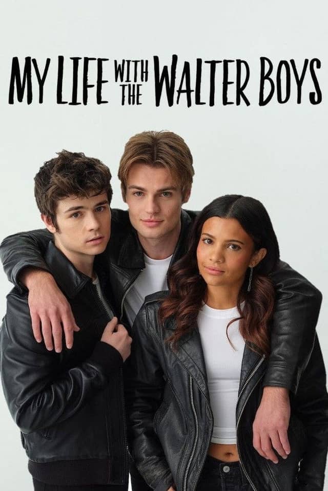 My Life with the Walter Boys poster image
