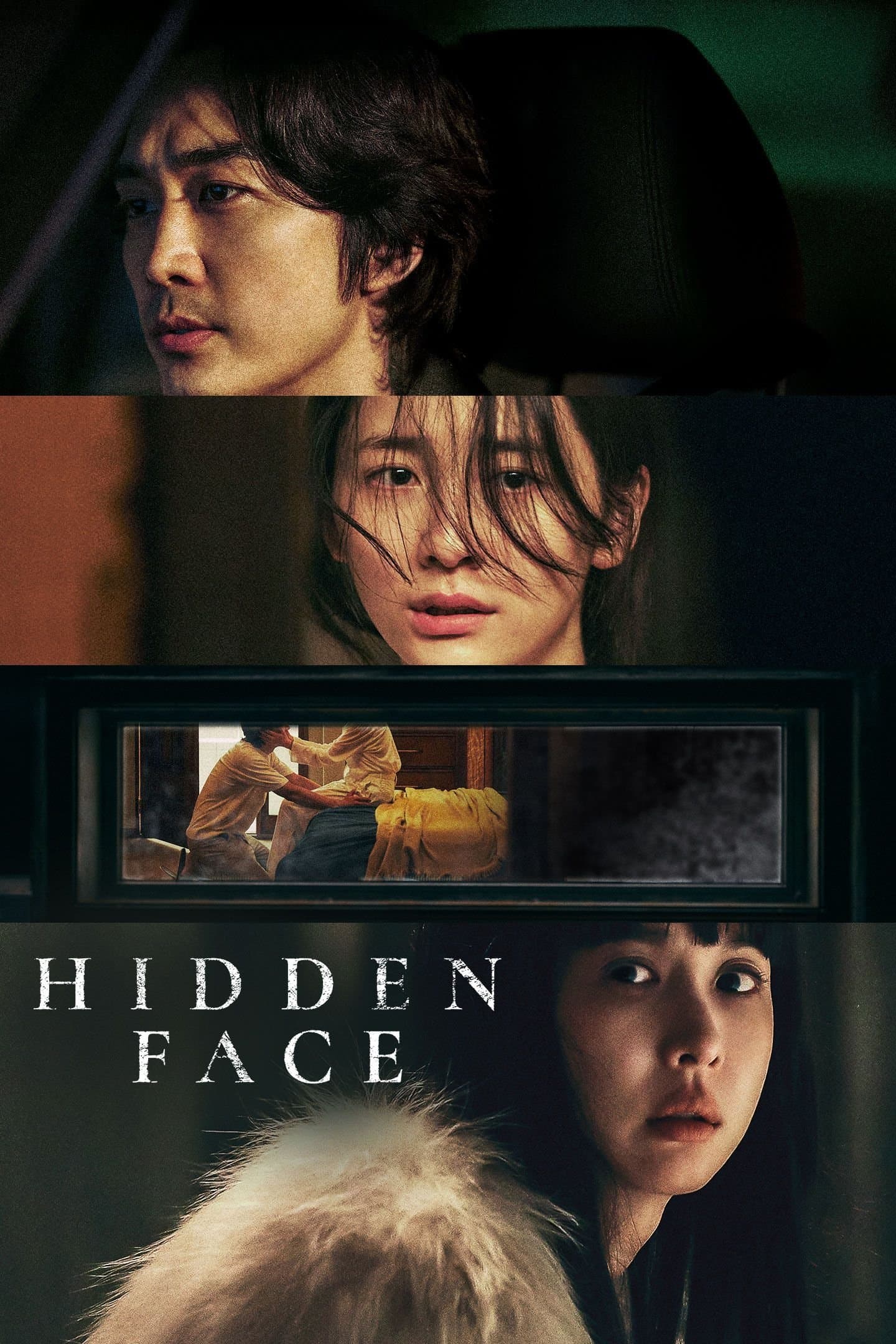 Hidden Face poster image