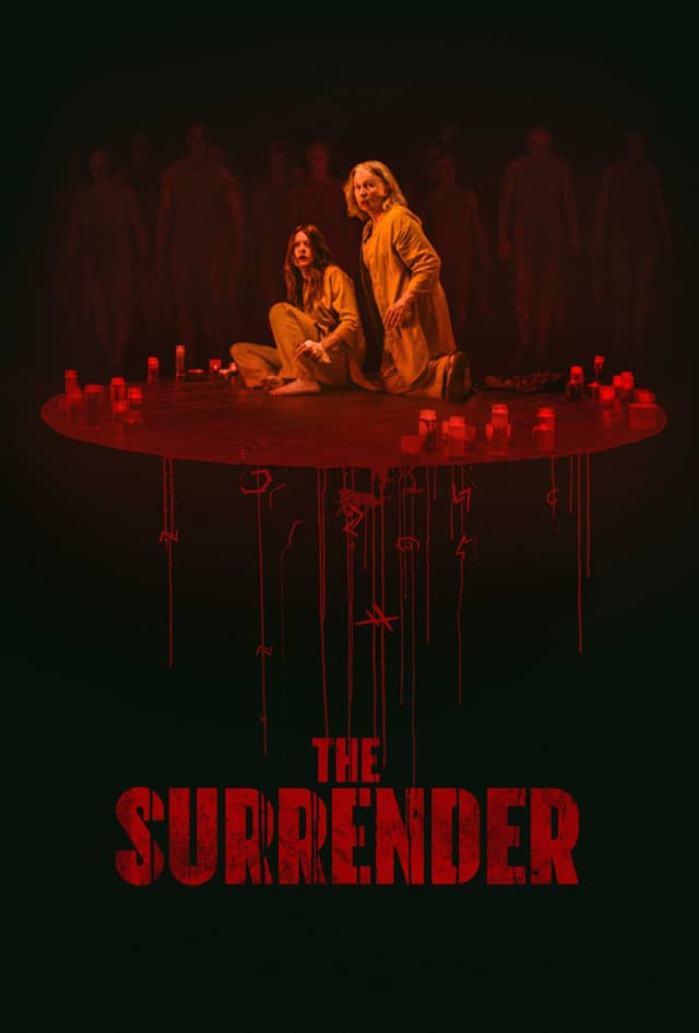 The Surrender poster image