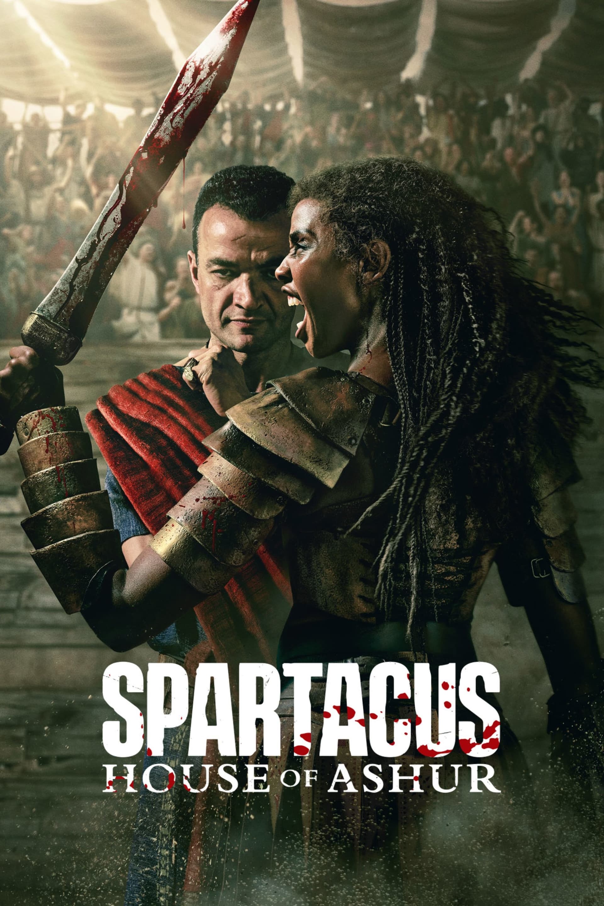 Spartacus: House of Ashur poster image