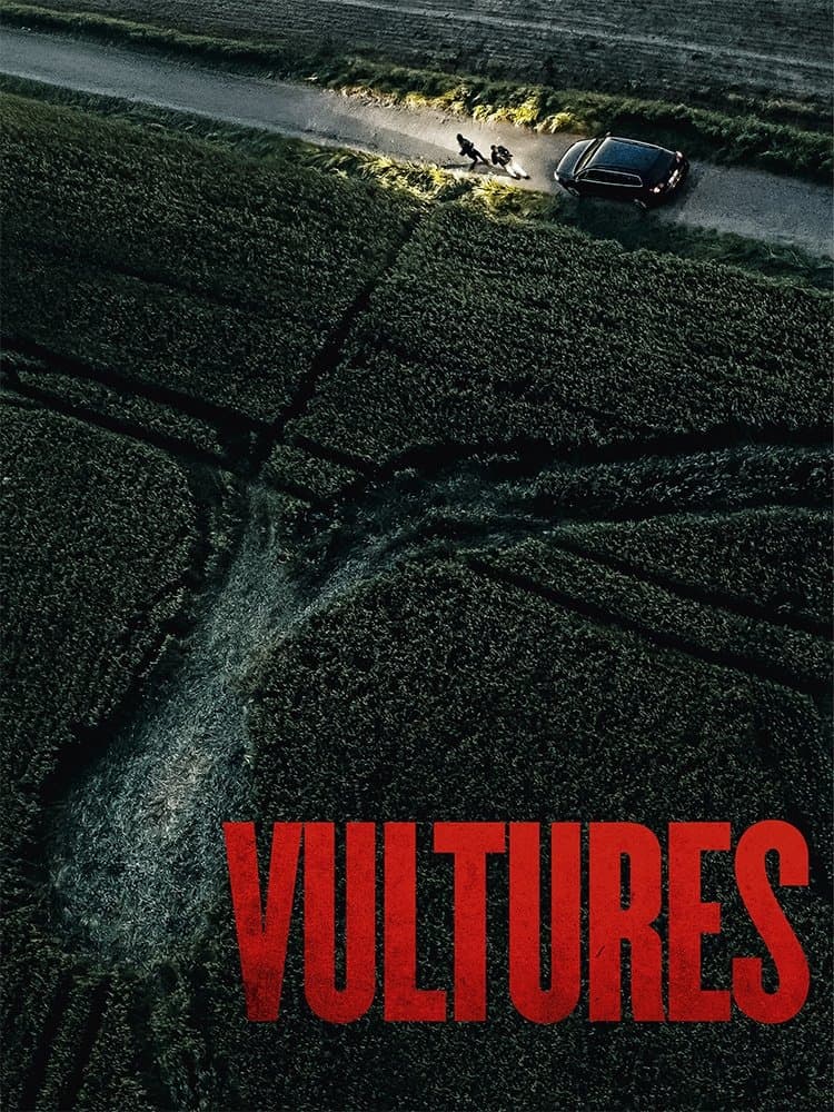 Vultures poster image