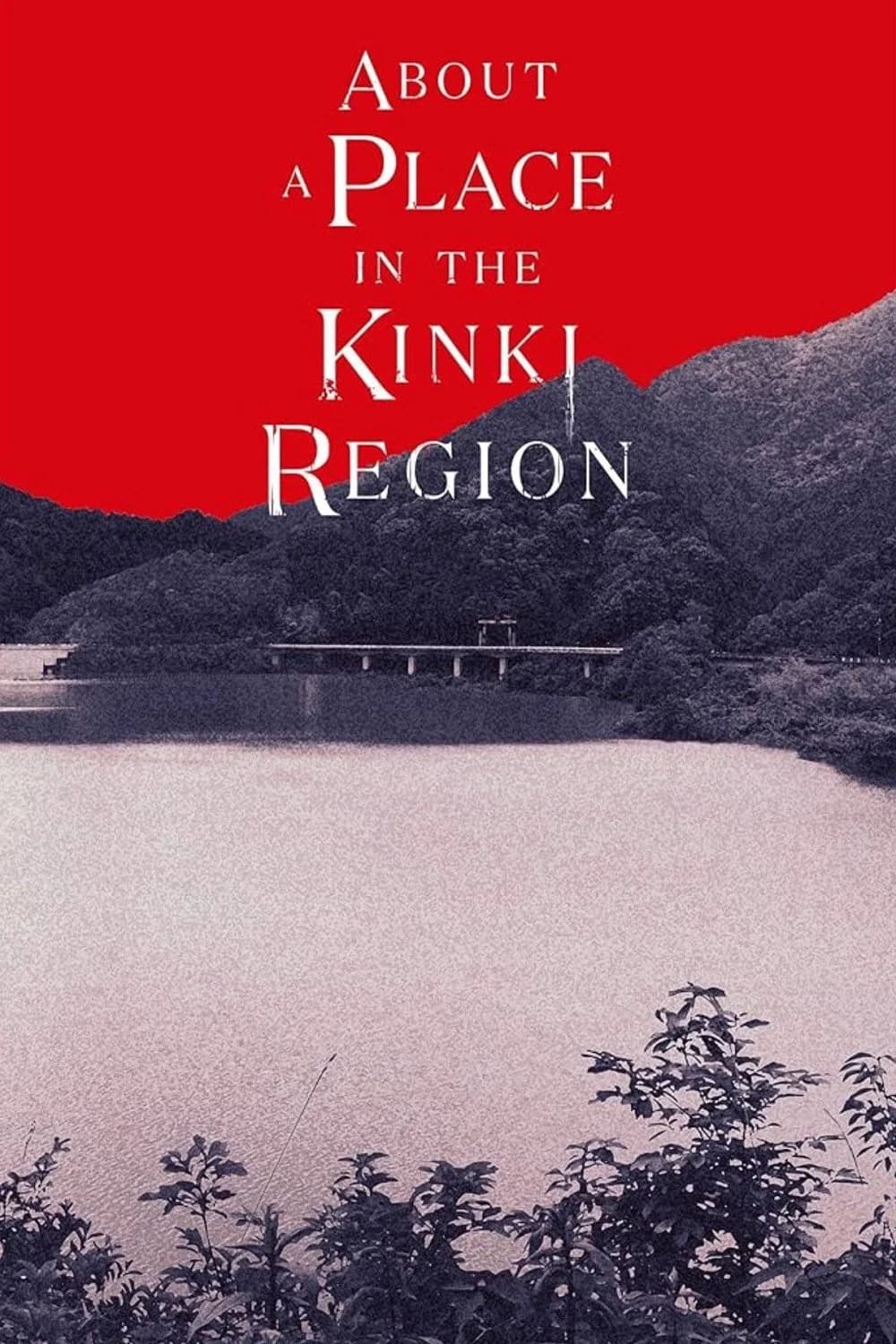 KINKI poster image
