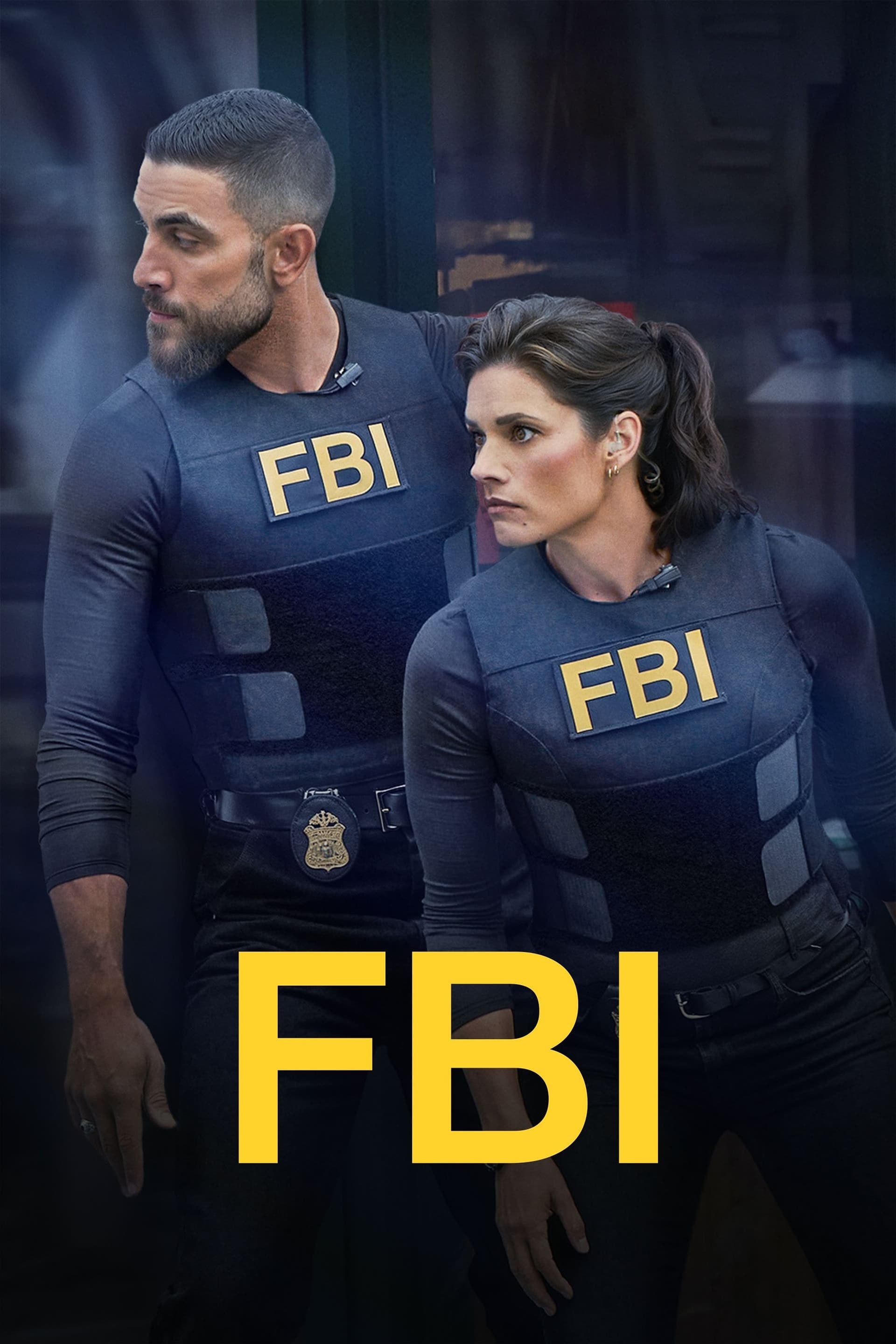FBI poster image